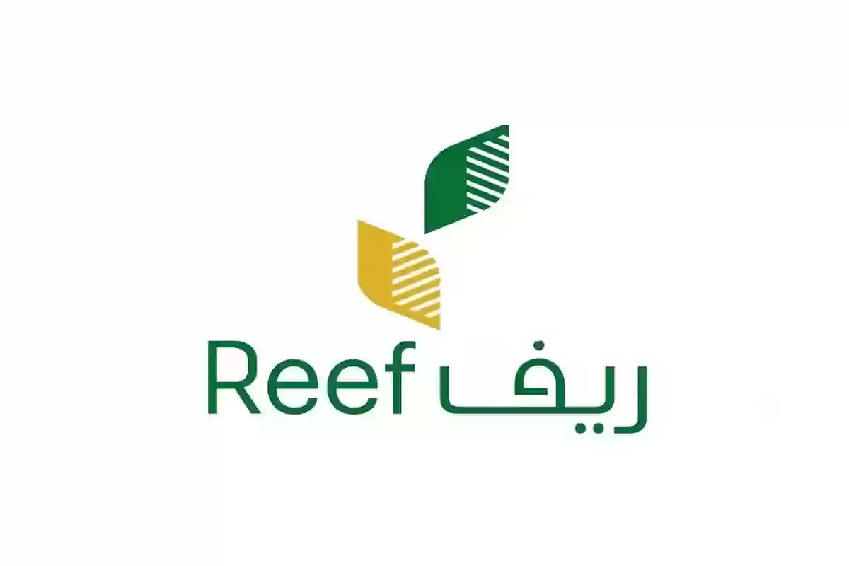 خطوات التقديم في دعم ريف للنساء في السعودية 1446| وما موعد صرف دفعة شهر يوليو؟ 5 خطوات التقديم في دعم ريف للنساء في السعودية 1446| وما موعد صرف دفعة شهر يوليو؟