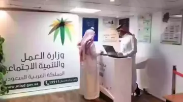 06 02 24 740994535 1
