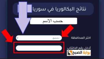نتائج البكالوريا 2024 جميع محافظات سوريا وزارة التربية والتعليم moed.gov.sy وطريقة الاعتراض عليها