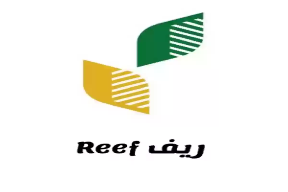 "برابط مباشر" تسجيل منصة دعم ريف للاستعلام عن الأهلية وكم مبلغ الدعم لشهر يوليو 2024؟ والشروط اللازمة 5 “برابط مباشر” تسجيل منصة دعم ريف للاستعلام عن الأهلية وكم مبلغ الدعم لشهر يوليو 2024؟ والشروط اللازمة