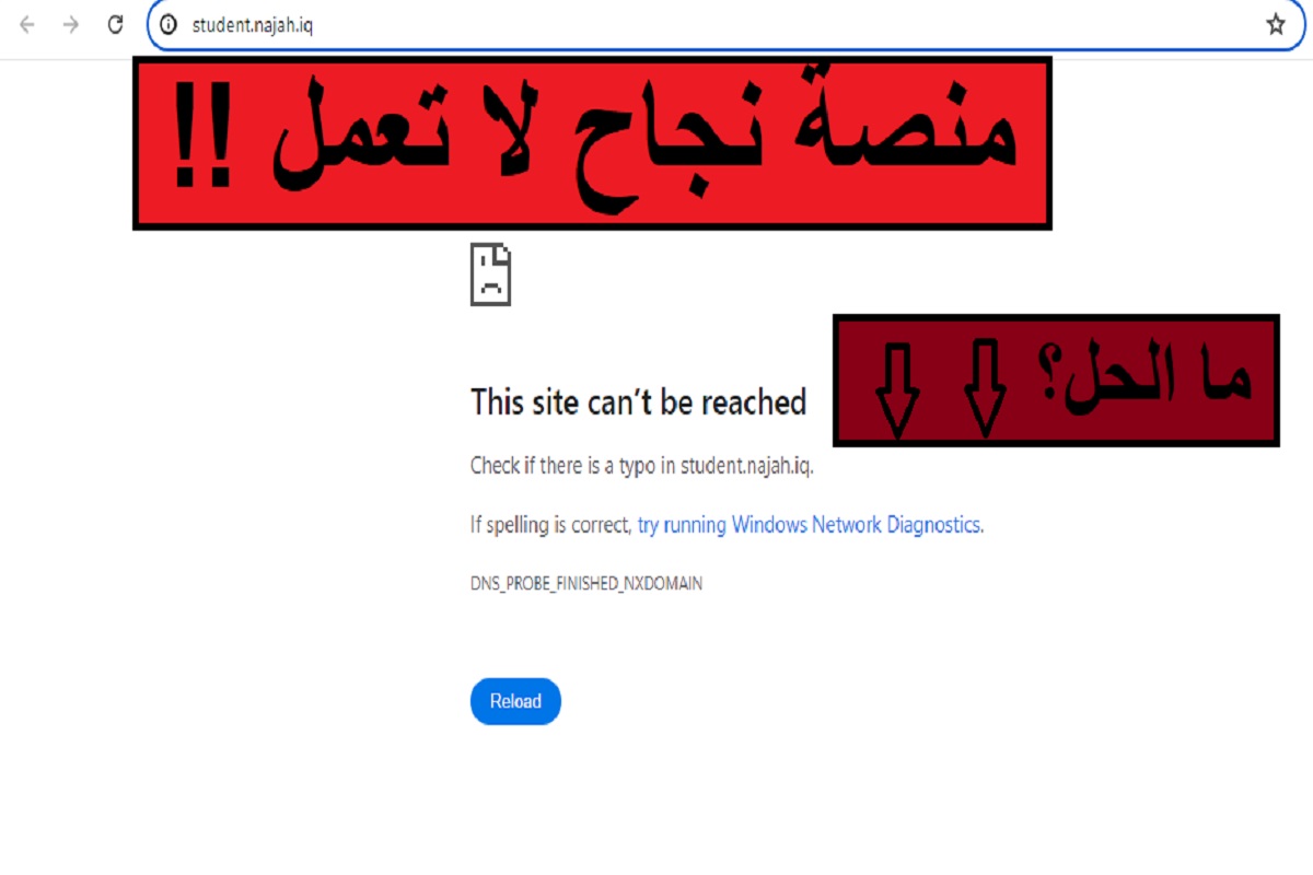 منصة نجاح لا تعمل؟.. إليك طريقة الاستعلام عن نتائج السادس الإعدادي 2024