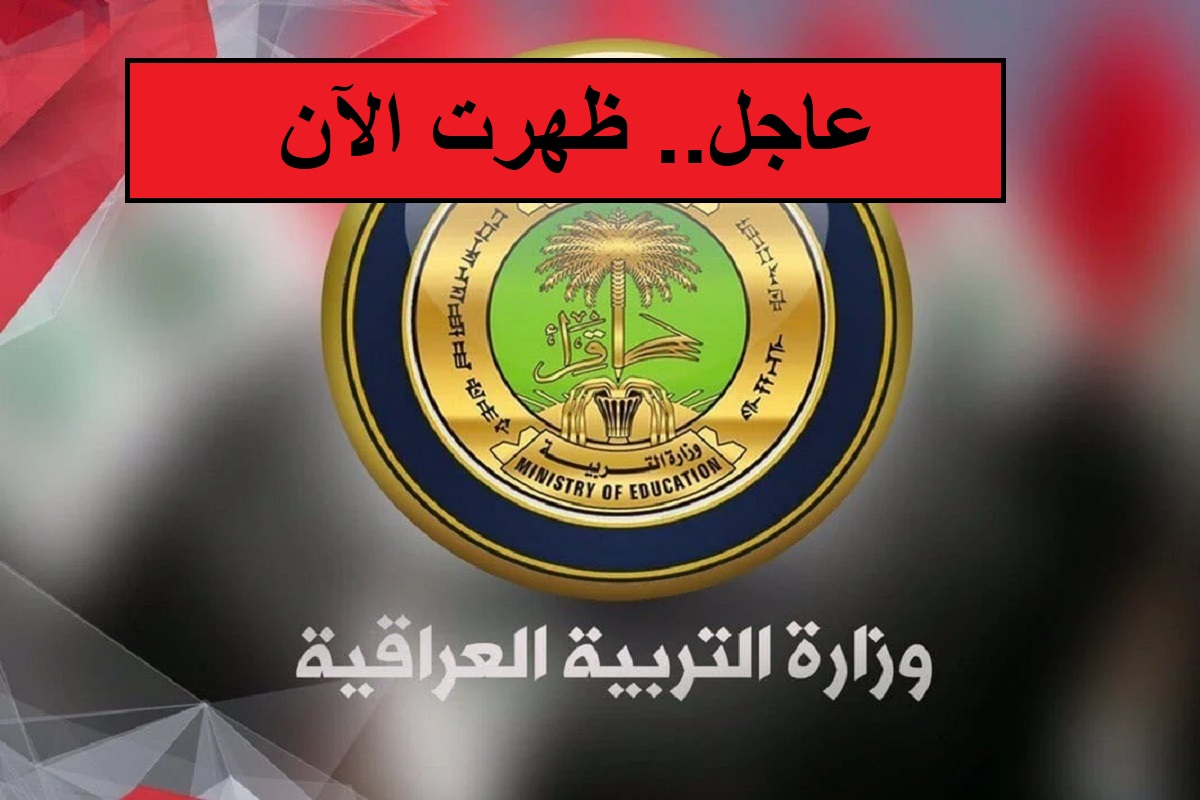 عاجل.. ظهور نتائج السادس الإعدادي الدور الثاني "استعلم الآن من هنا" 5 عاجل.. ظهور نتائج السادس الإعدادي الدور الثاني “استعلم الآن من هنا”
