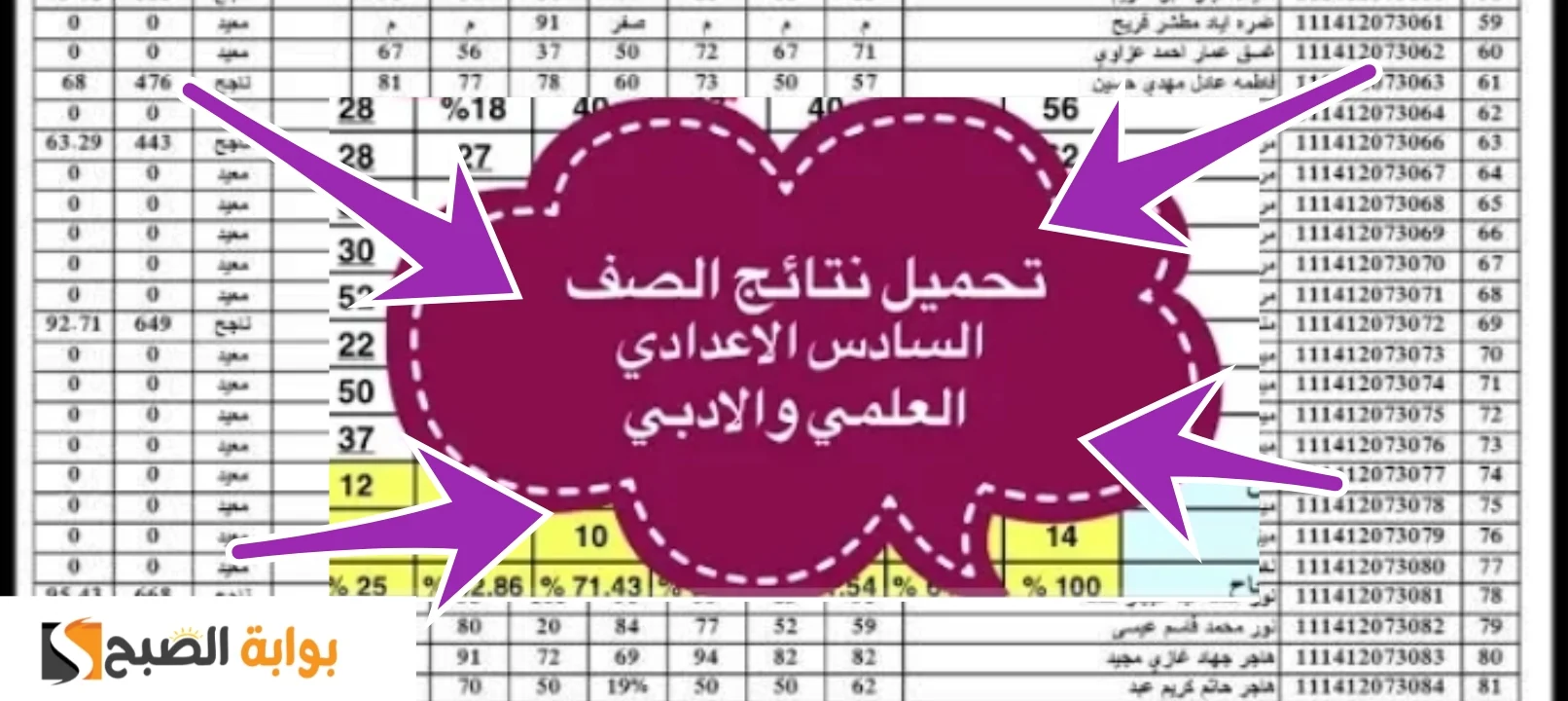 علمي وأدبي.. رابط الاستعلام عن نتائج الصف السادس الإعدادي بالعراق 2024