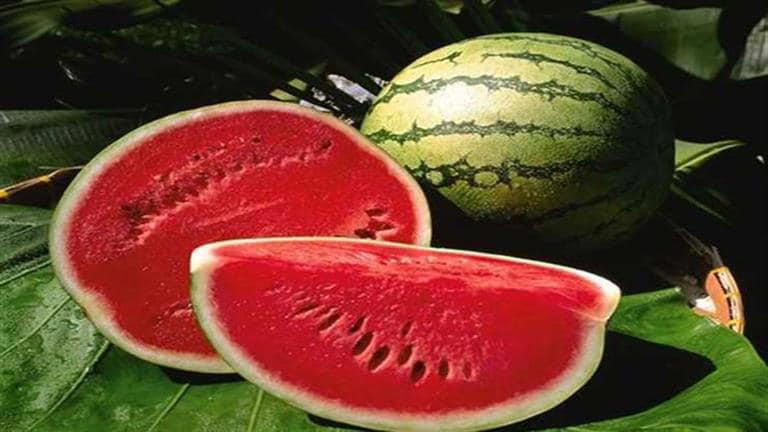 فوائد البطيخ الصحية: تعزيز المناعة والهضم على الريق 5 فوائد البطيخ الصحية: تعزيز المناعة والهضم على الريق