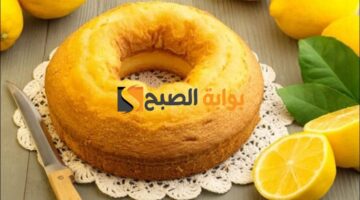 IMG 20240714 WA0004 1