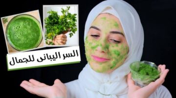 IMG ٢٠٢٤٠٧٠٢ ٠٣٥٩٤٧ 1