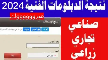 IMG ٢٠٢٤٠٧٠٦ ١٨٥٩١١ 1