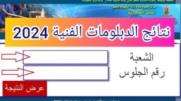 IMG ٢٠٢٤٠٧٠٨ ٢١١١٠١