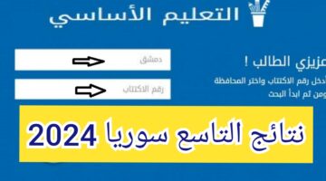IMG ٢٠٢٤٠٧١١ ٠٩٣٣٥٨