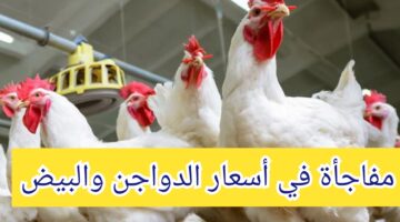 IMG ٢٠٢٤٠٧١١ ١٣٣٠٢٨