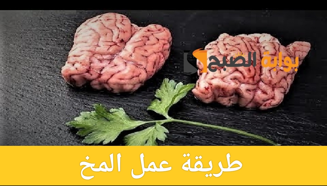 طريقة عمل المخ في المنزل بخطوات بسيطة ومذاق شهي