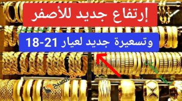 IMG ٢٠٢٤٠٧١٣ ١٤٥٦٣٠