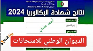 IMG ٢٠٢٤٠٧١٥ ١٩١٩٥٤