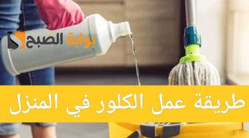 IMG ٢٠٢٤٠٧١٧ ١١١٧٣١