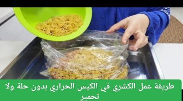 IMG ٢٠٢٤٠٧١٧ ١٦٤٥٠٤