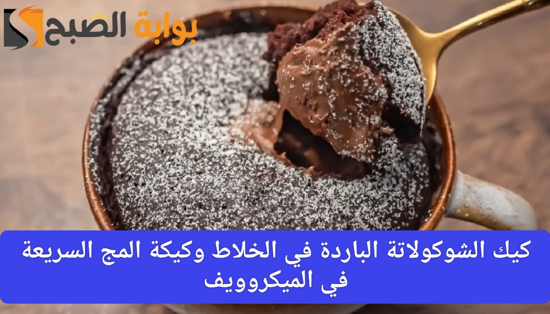 طريقة عمل كيك الشوكولاتة الباردة في الخلاط والمج السريعة في الميكروويف