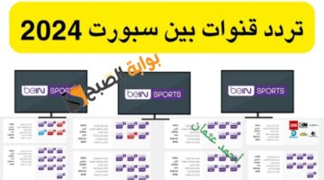 IMG ٢٠٢٤٠٧٢٠ ١١٣٤١٣