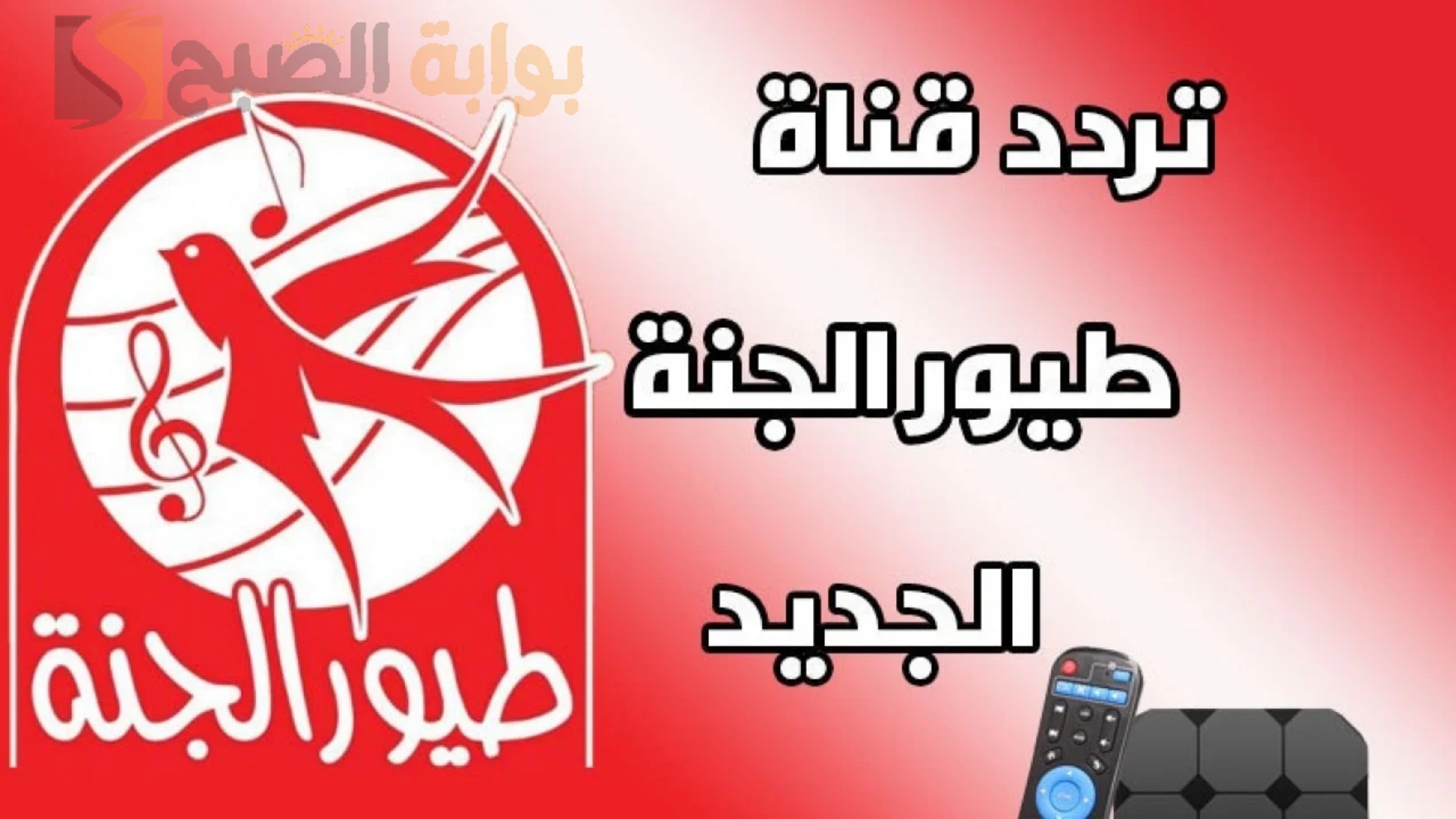 "فرح اولادك".. نزل الآن تردد قناة طيور الجنة على النايل سات وعرب سات التحديث الأخير 2024 5 “فرح اولادك”.. نزل الآن تردد قناة طيور الجنة على النايل سات وعرب سات التحديث الأخير 2024