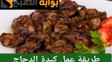 ResizedImage٢٠٢٤٠٧١٨ ١٢٢٤٣١