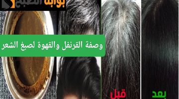 ResizedImage٢٠٢٤٠٧١٨ ١٤١١٠٦