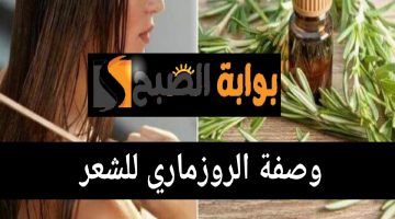 ResizedImage٢٠٢٤٠٧١٨ ١٤٤٩٢٥