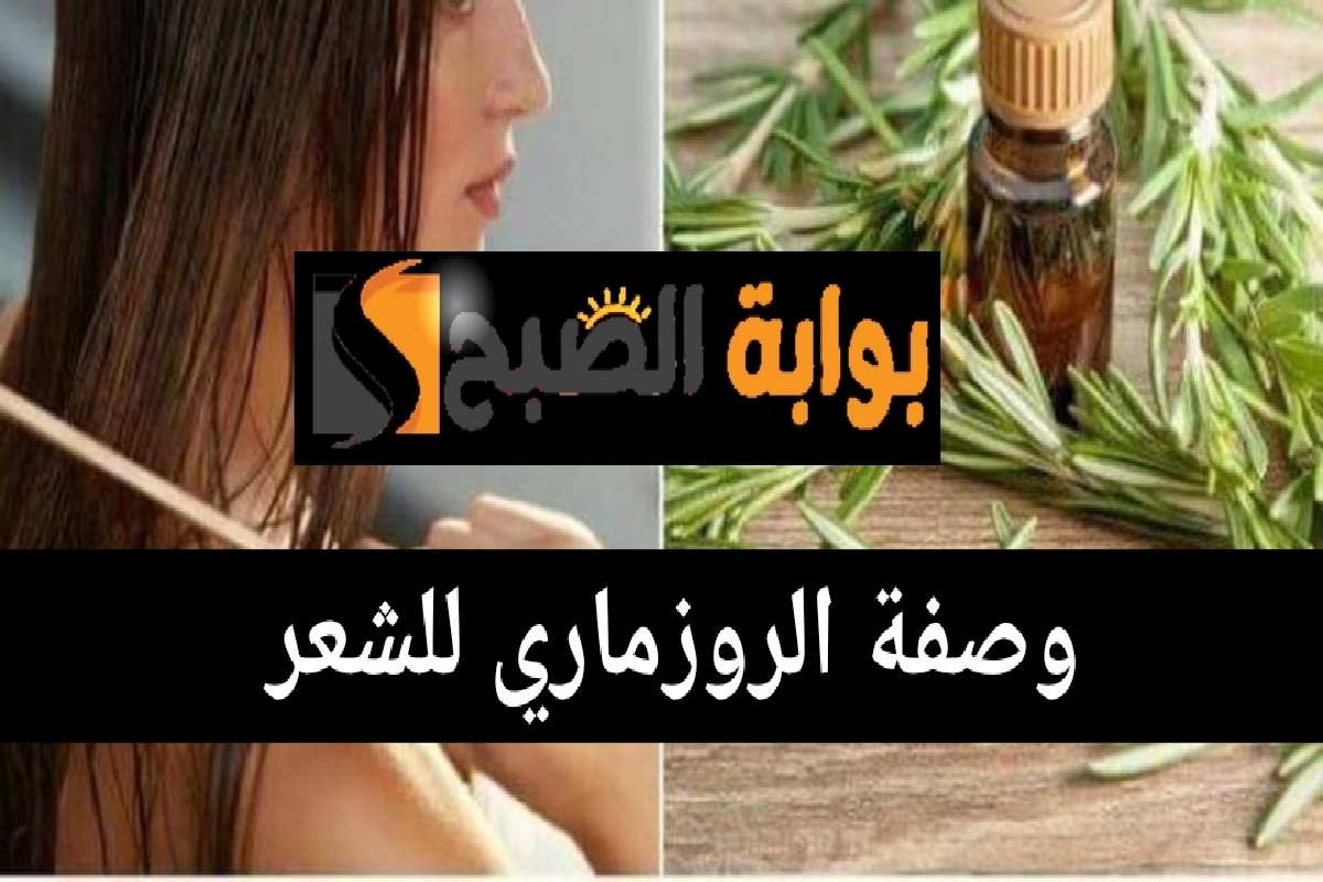 وصفة الروزماري للشعر أقوى زيت طبيعي للتنعيم والتكثيف ومنع التساقط 7 وصفة الروزماري للشعر أقوى زيت طبيعي للتنعيم والتكثيف ومنع التساقط