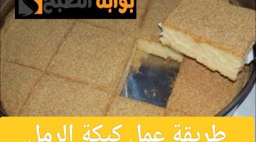ResizedImage٢٠٢٤٠٧١٨ ١٧٤٥١٥