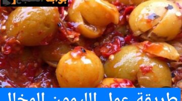ResizedImage٢٠٢٤٠٧١٩ ١٣٤٢٤٤