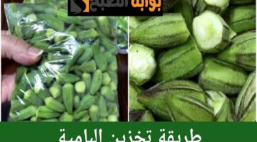 ResizedImage٢٠٢٤٠٧١٩ ١٧٤١٢٩