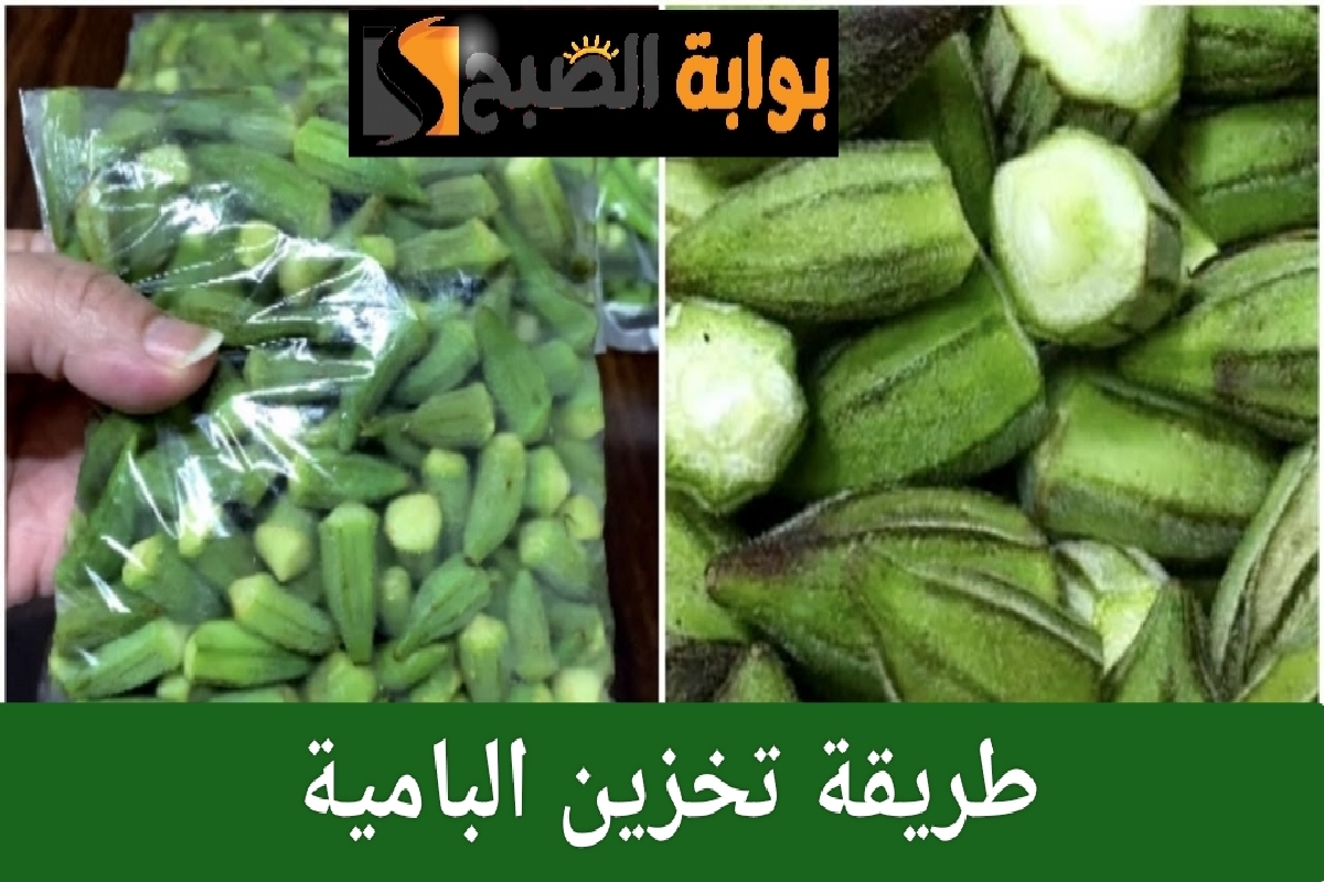 طريقة تخزين البامية والحفاظ على جودتها طوال العام 6 طريقة تخزين البامية والحفاظ على جودتها طوال العام