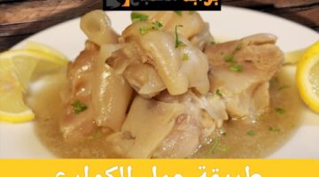 ResizedImage٢٠٢٤٠٧٢٠ ١١٣٠٣٦