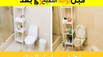 ResizedImage٢٠٢٤٠٧٢٠ ١٤٣٠٥٤