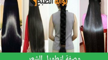 ResizedImage٢٠٢٤٠٧٢١ ١٢٥٨١٣