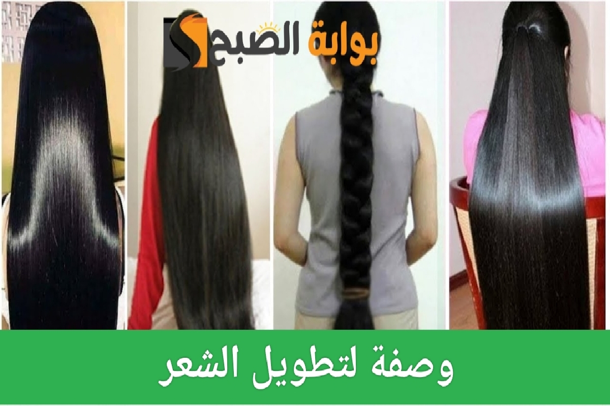 وصفة لتطويل الشعر بسرعة بمكونات بسيطة 6 وصفة لتطويل الشعر بسرعة بمكونات بسيطة