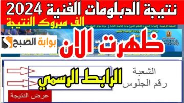 صناعي وتجاري وزراعي وفندقي.. رابط نتيجة الدبلومات الفنية 2024 جميع المحافظات “سريع وشغال”