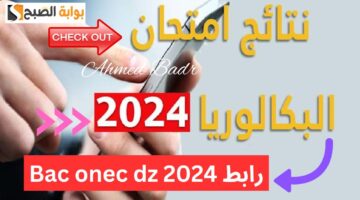 Screenshot 2024 07 12 204044
