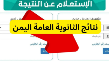 Screenshot 2024 07 25 131101 800x500 1
