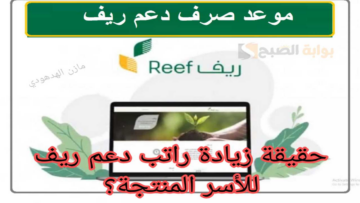 حقيقة زيادة راتب دعم ريف للأسر المنتجة هذا الشهر 2024 ومتى ينزل؟.. وزارة البيئة توضح