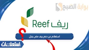 “هنا”.. طريقة استعلام عن دعم ريف للأسر المنتجة والمتقاعدين لهذا الشهر 2024 ومتى موعد صرف دفعة يوليو؟