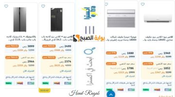 T401720239816008