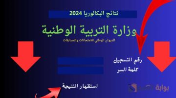 T401721298015601