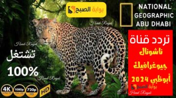 T401721828959876