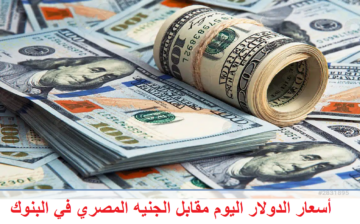أسعار الدولار اليوم الثلاثاء 2 /7 /2024 مقابل الجنيه في البنوك المصرية