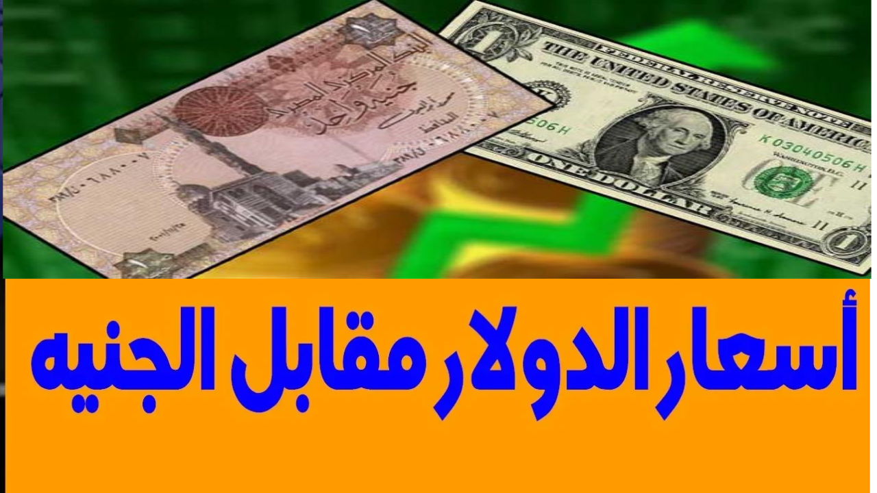 كم سجل سعر الدولار اليوم مقابل الجنيه المصري في البنوك المصرية وتوقعات الفترة القادمة 2 كم سجل سعر الدولار اليوم مقابل الجنيه المصري في البنوك المصرية وتوقعات الفترة القادمة