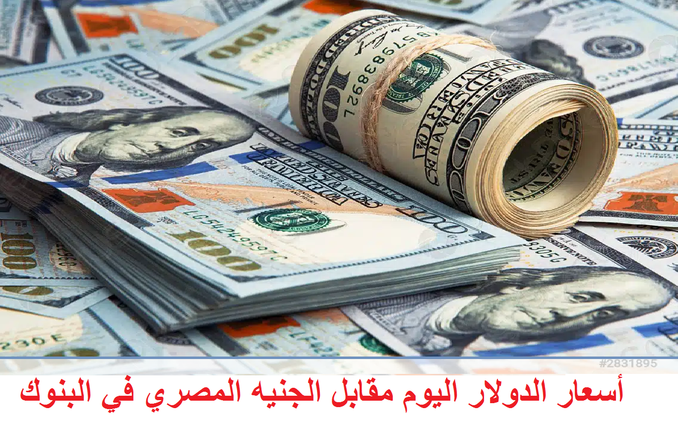 أسعار الدولار اليوم الثلاثاء 2 /7 /2024 مقابل الجنيه في البنوك المصرية 5 أسعار الدولار اليوم الثلاثاء 2 /7 /2024 مقابل الجنيه في البنوك المصرية
