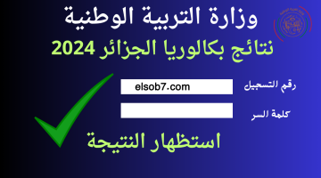 elsob7.com
