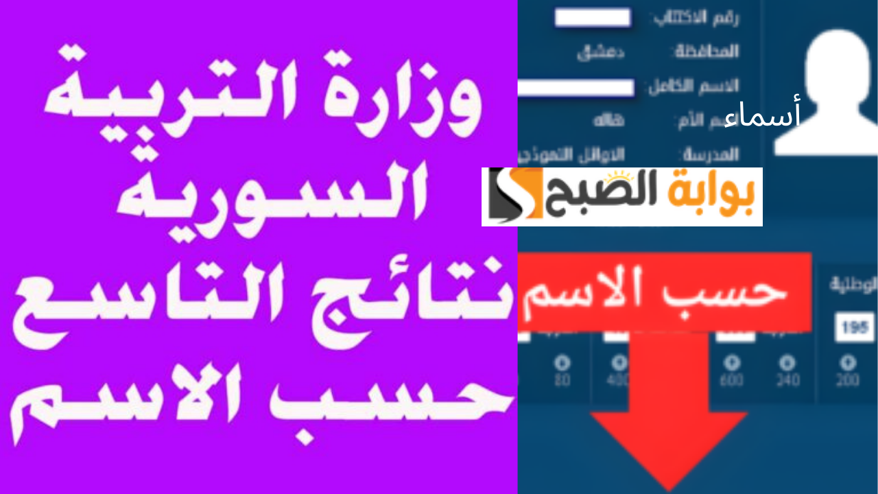 وزارة التربية السورية نتائج التاسع حسب الاسم عبر Moed gov sy 2024 تاسع