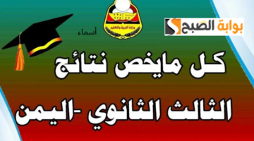 إضافة نص تكميلي قصير2 3