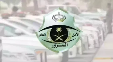 إيقاف الخدمات من المرور ماذا يشمل 1446