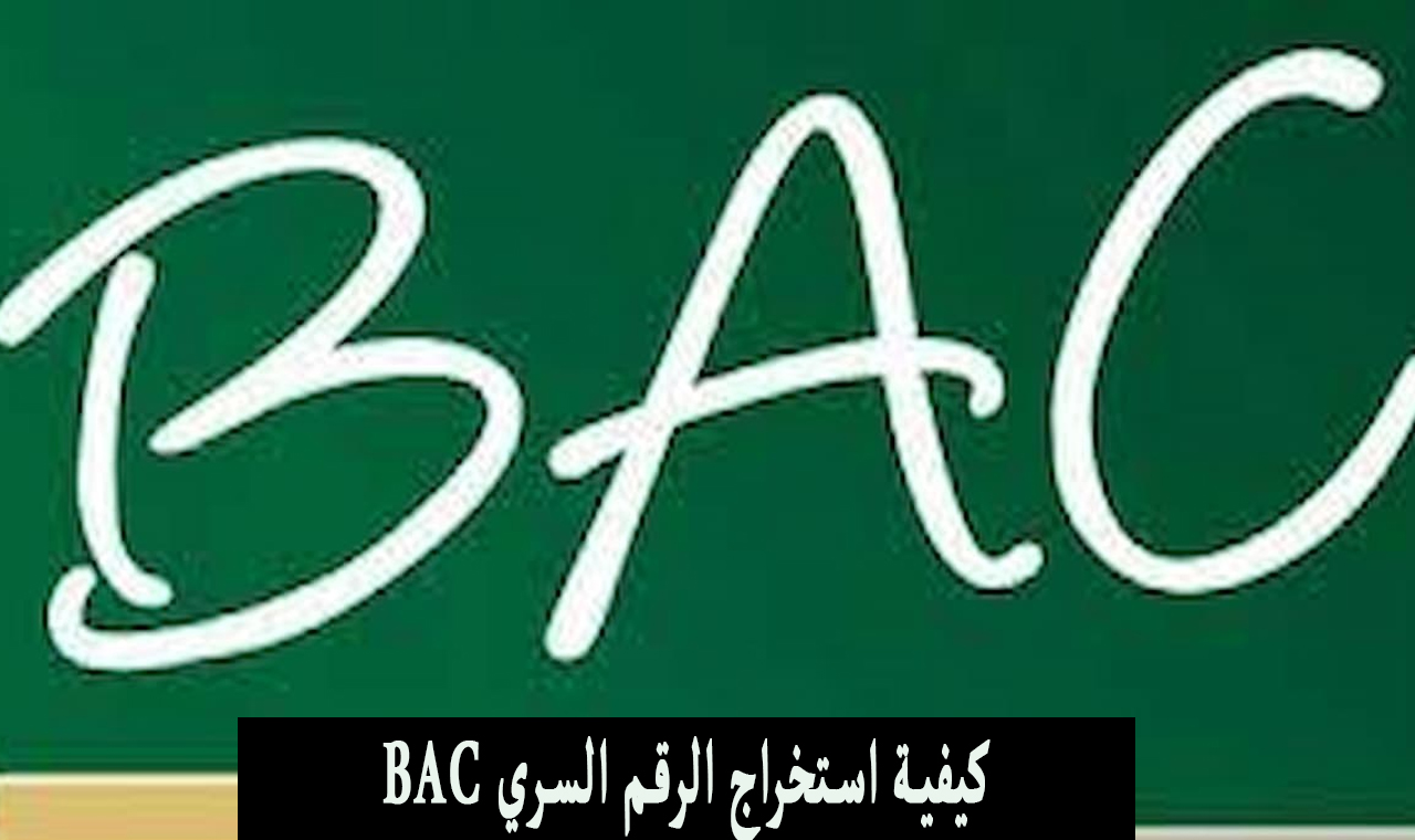 موقع الباك .. كيف استخرج الرقم السري من رقم التسجيل  Bac onec dz 2024 ؟